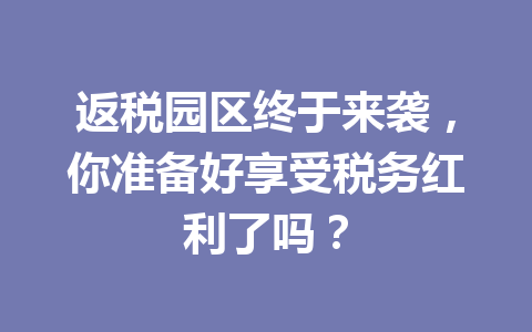 返税园区终于来袭，你准备好享受税务红利了吗？